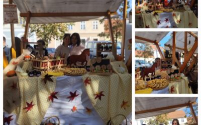 Zadrugari OŠ Sela na djelu